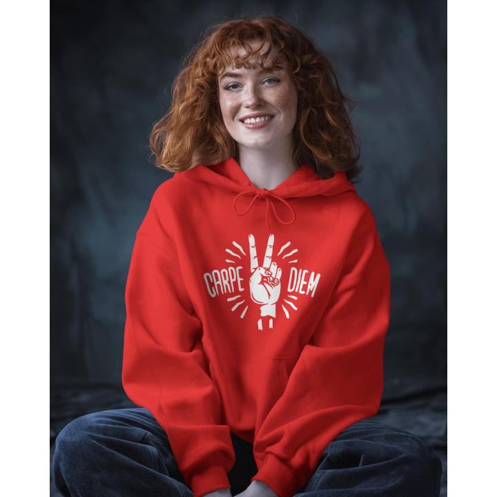 Sudadera unisex dos bolsillos dentro de canguro, relleno en capucha queda levantada, con diseño, tallaje americano, mujer, sudadera cerrada, con capucha, buena calidad, casual, gimnasio, elegante, varios colores, motivador, marca Vindaloo