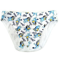 Pack 3 Slip de Niño Bluey, Ropa Interior Niños de 2 a 6 años Bluey y Bingo, Calzoncillos Infantiles 100% Algodón, Regalo Cumpleaños, Navidad, Reyes - details 2