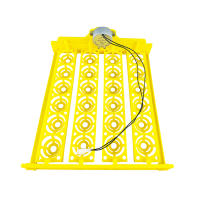 Incubador De Huevos Automático 16/24 Huevos AC220V Herramienta De Incubación Para Pollos Pájaros Y Cochinillos En Granja - details 2