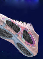 Zapatillas De Baloncesto Para Hombres Entrenamiento En Pista Transpirables Resistentes Al Desgaste Antideslizantes Cómodas Deportivas Running - details 6