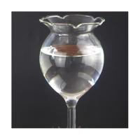 piezas de globo de riego automático para plantas, bombilla de agua de vidrio transparente soplado a mano para interiores - details 3