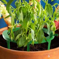 Hydro Halo Water Ring Automático Para Riego De Plantas Y Flores Herramienta De Jardinería Con Multiple Salidas De Agua Drip Irrigación - details 4