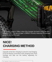 Bicicleta Eléctrica Bezior xf200 20 ''* 4,0'' 48 V15ah 130 km kilometrije freno hidráulico - details 6