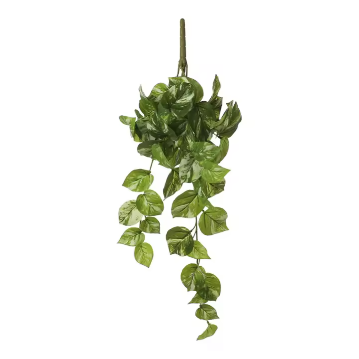 Planta Decorativa Mica Decorations Potos 14 x 58 x 20 cm Colgante - 1