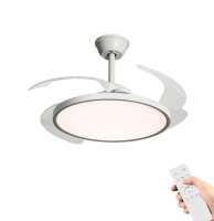 Ventilador de Techo con Luz LED 40W 107cm Control Remoto, 6 Velocidades, Temporizador Iluminación Regulable (3000K-4200K-6500K) Función Reversible, Silencioso y Eficiente - details 1