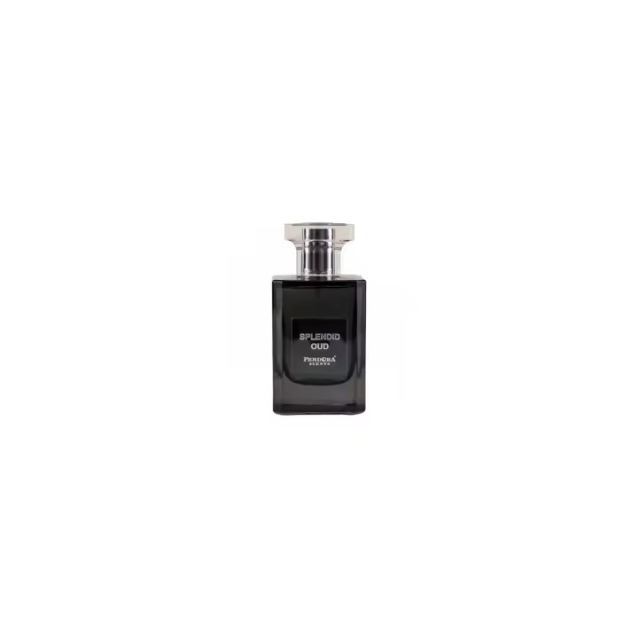 Pendora Scents Splendid Oud Eau de Parfum Unisex 100ml - 1