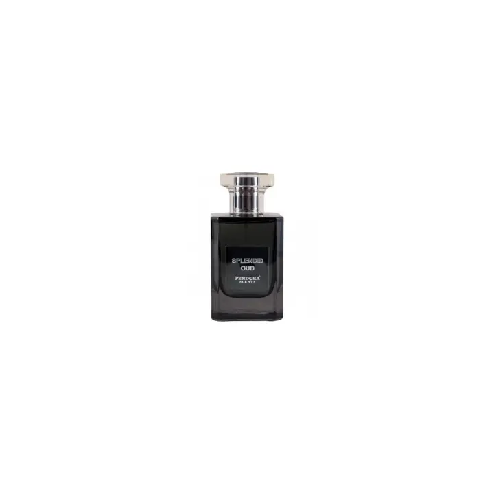 Pendora Scents Splendid Oud Eau de Parfum Unisex 100ml - 1