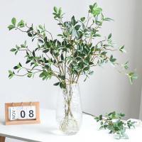 Arbusto Artificial De Ficus Tenuifolia Hojas De Flores Falsas Para Decoración De Hogar Y Bodasrama Larga Para Mesa Y DIY Material De Seda Origen Zhejiang China - details 3