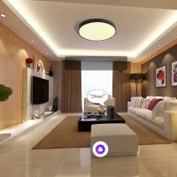 Lámpara LED Moderna 24W Control Remoto Por Alexa Google Siri Luz De Techo Dimmable WiFi Horario RGB+CW+WW Compatible Con HomeKit - details 2