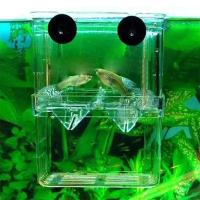 Caja De Cría De Peces Ornamentales Multifuncional Incubador De Peces Y Camarones Doble Caja De Cría De Guppys Betta - details 4