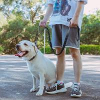 Correa Táctica Para Perros De Medio Y Pequeño Tamaño Con Control De Doble Mano Y Línea Elástica Ajustable Con Desenganche Rápido Para Entrenamiento Y Salidas Al Aire Libre - details 6