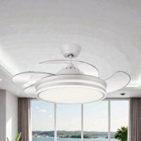 MIMAX LIGHTING VENTILADOR DE TECHO CON LUZ ALTA GAMA CALIMA GRANDE  109 CM / 50CM 6VELOCIDADES SUPER SILENCIOSO, MOTOR DC, ASPAS RETRACTILES, LUZ LED REGULABLE DE 2700K A 6500K (CALIDA, DÍA, FRÍA)VERANO/INVIERNO MEMORIA.EFICIENCIA ENERGETICA EN C - details 3