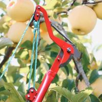 Scorpio 1PC Alcancía De Extensión Para Podar Árboles Herramienta De Corta Ramas Y Podar Jardín Con Cordón Lopera Metálica Extensible Para Frutales - details 7