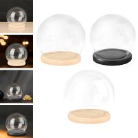 Juego De Domos De Vidrio Transparente Con Base De Madera Para Decoración De Casas De Muñecas Caja De Exhibición Protectora Micro Paisaje Soporte Para Colecciones - details 2