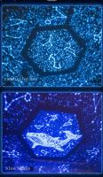 Proyector De Pared Estelar Con 12 Constelaciones Luz Nocturna Atmosférica Para Habitaciones De Niñas Regalo Romántico De Cumpleaños - details 2