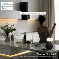 Tira De Luz LED COB ZigBee Wifi Dimmable Con Controlador De Brillo USB 5V Para Decoración De Habitaciones Y Cocinas Compatible Con Tuya Alexa - details 6