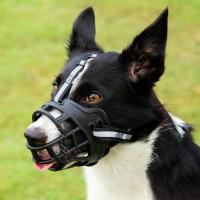 Mordaza Ajustable Para Perros Con Bandeja Reflectoria Material Plástico Transpirable Permitiendo Beber Agua Anti-Mordedura - details 9