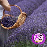 2 Jabones Artesanales Naturales de Lavanda. PumarShop Cinnia Natura. Hidratante. Aroma Agradable. Relajante y Regenerador. Hecho a Mano. Apto Veganos. - details 2