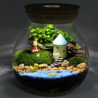 Kit Grande De Terrario En Botella Ecológico Micro Juego De Plantas Y Rios Para Decoración Del Hogar Y Cultivo De Plantas En Vaso De Vidrio Con Moss Y Tanque De Peces - details 4