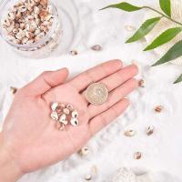 300 Pcs Encantos De Concha De Playa Naturales En Espiral Sin Perforar Para Creación De Joyas Y Manualidades De Verano - details 2