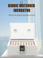 Incubador Termostático Manual Con USB Para Peces Aves Y Huevo Incluye Cama De Agua Biónica Y Luz De Huevos Máquina Todo En Uno - details 2