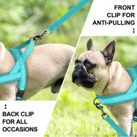 Harnés De Nylon Para Perros Y Gatos Con Colchón Ajustable Suave Para Exterior No Pull Para Bulldog Francés Chihuahua Perro Pupusa Color Negro/Azul/Rosa Tamaños XS/S/M - details 6