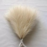 5pcs De Pampas Artificial 42cm Simulación De Pluma Para Bodas Decoración Bohemia Del Hogar Uso En Aniversarios Baños De Natación Cumpleaños Decoración De Casa - details 12