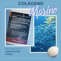 Naturbite Colágeno Marino 400mg, 60, 120 o 240 Cápsulas. Péptidos de Colágeno Hidrolizado Tipo I de Alta Biodisponibilidad. - details 4