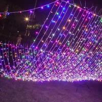 Luces LED De 10M/20M Con Enchufe EU Para Exterior Decoración Navideña Y Bodas Fiesta Y Año Nuevo Luces De Calle Para Jardín Y Casa - details 3
