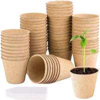 Macetas de turba biodegradables para plántulas de interior, 50 piezas, tazas Para plantar plantas, arrancador de semillas para vegetales o hierbas - details 5