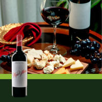 PEPE YLLERA Vino Tinto Ribera del Duero 0.75L | Salud y Maridaje | Catas y Cocina - details 2