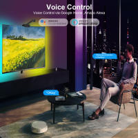 RGBIC TV LED Backlights Con Cámara Sincronización TUYA WiFi APP Música Sincronización Juego Ambiente Dormitorio Luz - details 1