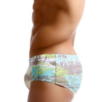 Traje De Baño Para Hombre Estilo Tradicional Boxer Briefs Bikini Shorts Pantalones De Baño Con Estampado De Palmas - details 6