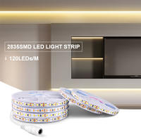 Tira De LED 8MM Superior Calidad 2835 Con Controlador WiFi Tuya Y Suministro De Energía EU/US Luces LED Para El Hogar - details 2