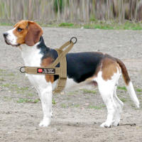 Harnés Reflectante Para Perro No Pull Táctico Militar Con Adhesivo Y Almohadilla Chaleco Para Mascota Pequeña Mediana Grande Para Pug Y Otros - details 14