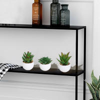 XIYA FLOWER Suculentas De Aloe Vera Artificiales En Estilo Moderno Con Maceta De Plástico Blanco Para Decoración Del Hogar Material PE - details 3