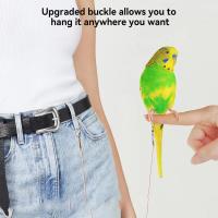 Correa De Entrenamiento Para Pájaros Parrot Con Cadena Antipatada Tamaño 6 Pies Material Resistente Para Exteriores Suministros Para Pájaros - details 1