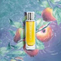 Casablancade Swiss Arabian EDP 100ml – Perfume Árabe Original | Lujo Unisex y Viaje Olfativo de Oriente a Occidente - details 4