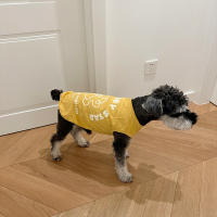Nueva Camiseta Para Mascotas De Algodón Transpirable Para Schnauzer Teddy Bichon Pomeranian Shiba Inu Primavera Verano Ropa De Mano Sin Mangas Para Perros - details 3