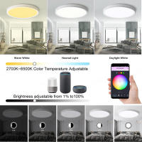 Lámpara De Techo WiFi LED Moderna Nórdica Con Luz Redonda Inteligente Dimmable RGB+CW+WW Compatible Con Alexa Google Iluminación Interior - details 5