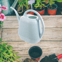 Gran Capacidad Regadizo De Agua Para Jardín Y Plantas De Interior Botella De Plástico Para Riego Mini Kettle De Hogar - details 2