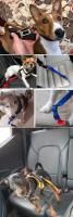 Almohadilla De Coche Para Perros Y Gatos Correa Ajustable Y Harnés De Seguridad Para Viajes En Vehículo Correa De Traction Para Mascotas - details 3