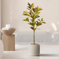 Planta Artificial De Tamaño Grande Codiaeum Falso 80-120cm Ficus Fiddle Hojas De Plantas Tropicales Para Decoración Del Hogar Material De Seda Origen China - details 0