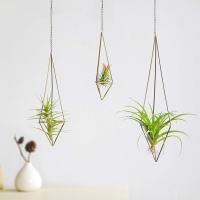 De 3 colgantes soporte de planta de aire para Tillandsia, soporte de plantas de aire, Himmeli para suspensión de Airplant Tillandsia, pantalla de maceta geométrica con, bronce - details 1