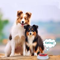 Juguete Interactivo Para Perros Con Botón Grabable De Sonido Patrón Hexagonal De Rastro De Mano Para Comunicación Y Entrenamiento - details 3