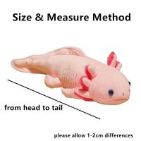Peluche De 45cm De Axolote Colorido Kawaii Juguete Suave Para Niños Almohada De Peluche Larga Regalo Para Niños - details 4