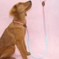 Correa Para Perro Colorida Para Uso Indoor Y Outdoor Material De Nylon Resistente Y Duradero Para Entrenamiento Y Paseos - details 5