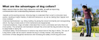 Collar De Entrenamiento Para Perros Con Remoto Y Antigolpes IPX7 Innovador De 3 Modos Eléctricos Para Entrenamiento Inteligente - details 7