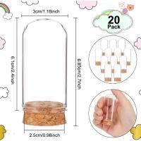 20 PCS Jarrones Decorativos De Domo 2.4x1.2 Pulgadas Con Base De Tapa De Vidrio Para Almacenamiento De Flores Fiesta Navideña En Casa - details 1