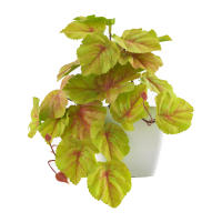 1pc Plantas Artificiales Pequeñas Con Macetas De Plástico Decoración De Escritorio Para Oficina Y Hogar Ambiente Interior Y Exterior - details 10